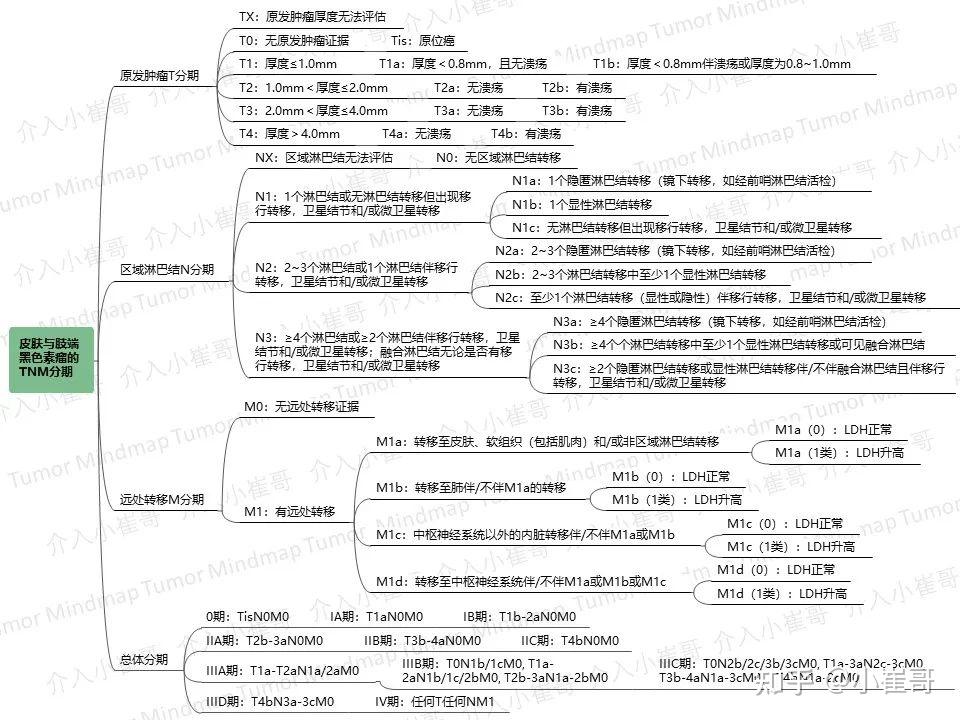 皮肤与肢端黑色素瘤的治疗10皮肤与肢端黑色素瘤的放疗原则11黏膜黑色