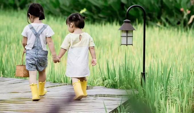 精品民宿丨禾肚里——蛙声稻香荷风星月 ,一间长在稻田里的民宿