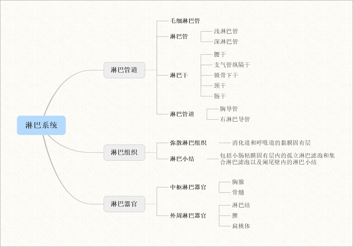 淋巴瘤科普