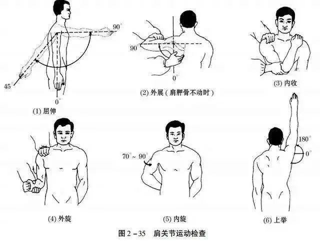 肩关节屈曲90度示意图图片