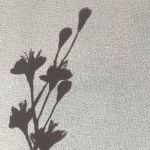 宋词有蝶恋花、鹧鸪天这些词牌名，那么到底什么是词牌名呢，能不能通俗易懂的说一下？
