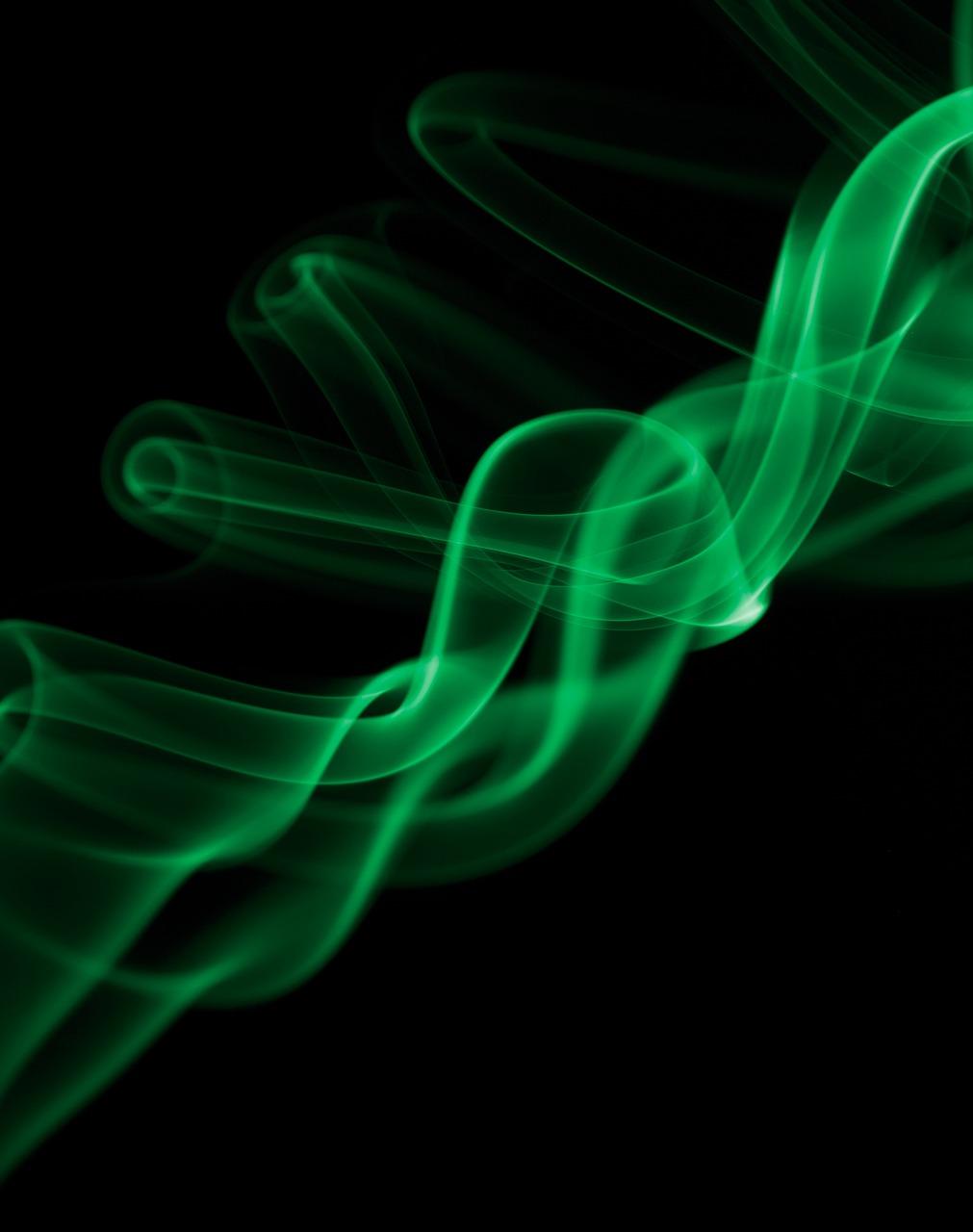 3. 熏蒸除醛效果