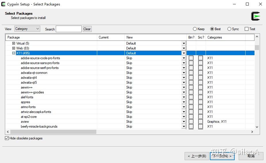 Cygwin x 