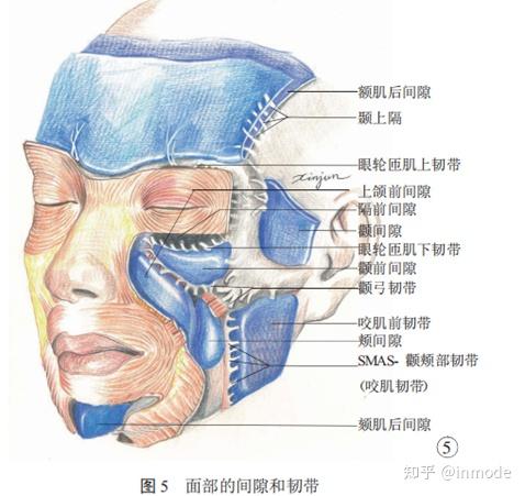 面部填充可以避开哪些雷-其二 - 知乎