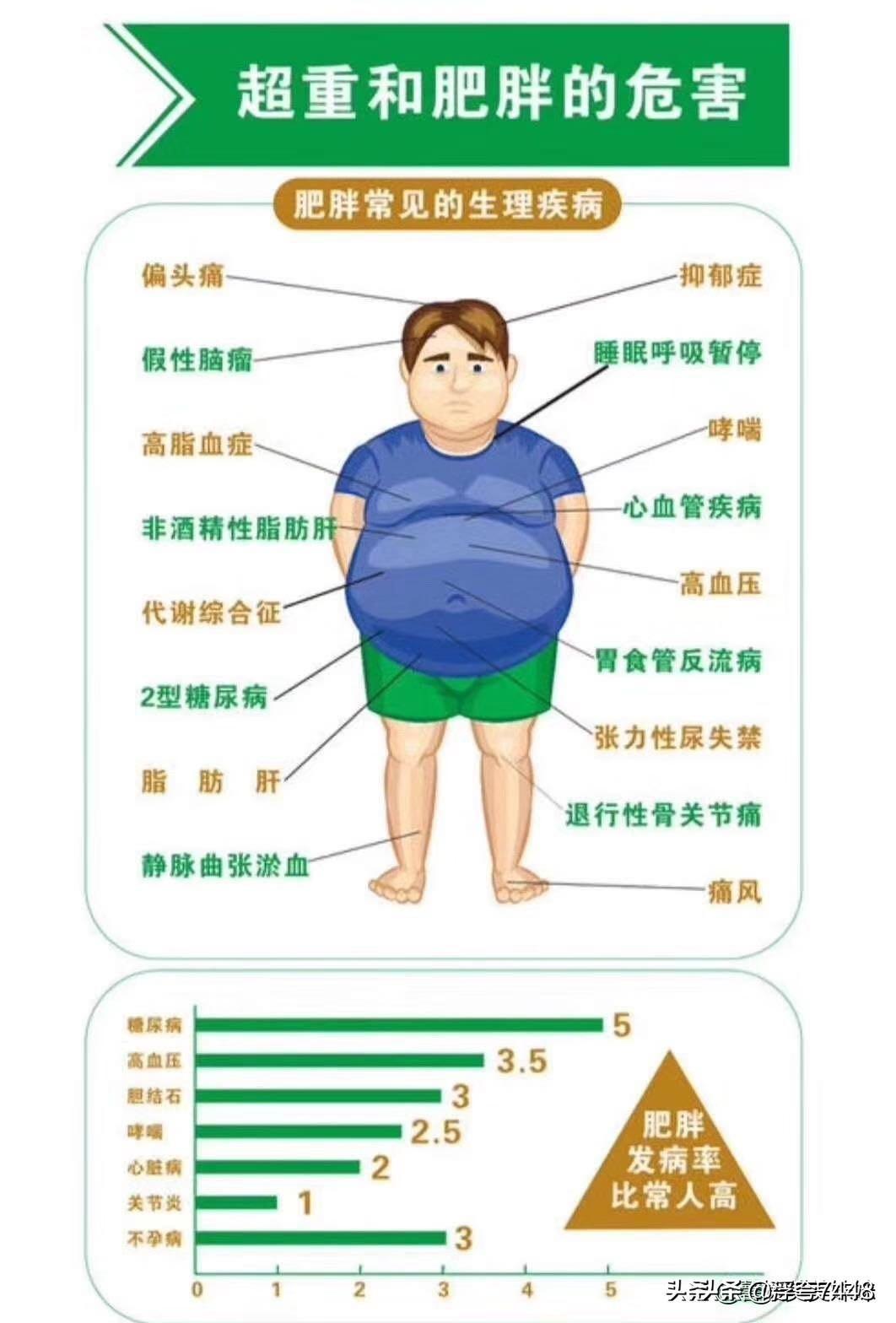 肥胖的危害|平面|信息图表|青青子许 - 原创作品 - 站酷 (ZCOOL)