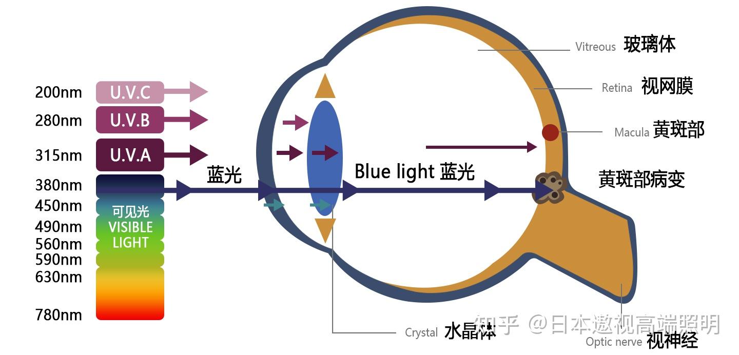 什么是全光谱灯?家用照明值得入手吗? - 知乎