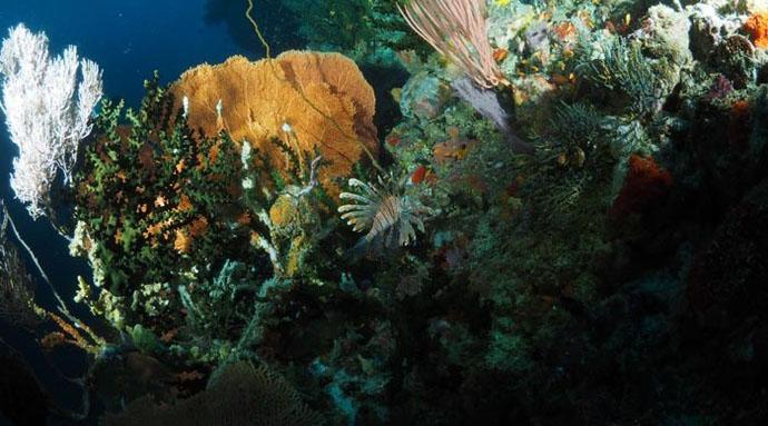 这个五一假期我要去韦岛顺便将ow升级到aow