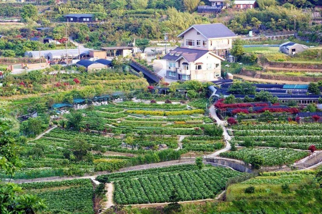 台湾的乡村建设案例,为何值得我们学习借鉴? - 知乎
