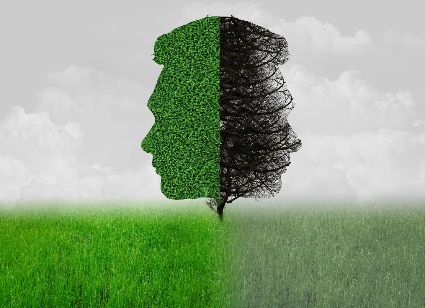 了解生活中的 马太效应 你有啥感想哩 知乎