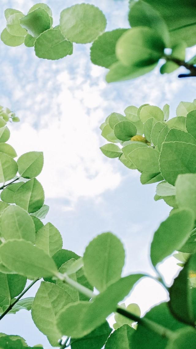 請問有沒有好看的微信聊天背景圖片