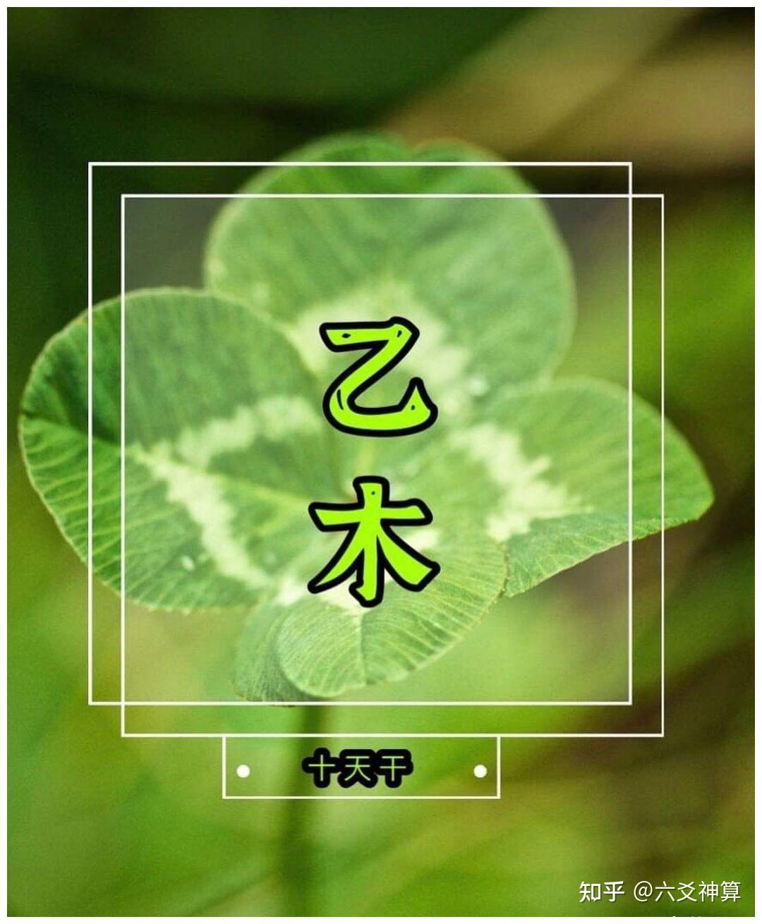 四柱命理十天干之“乙木”特性 - 知乎