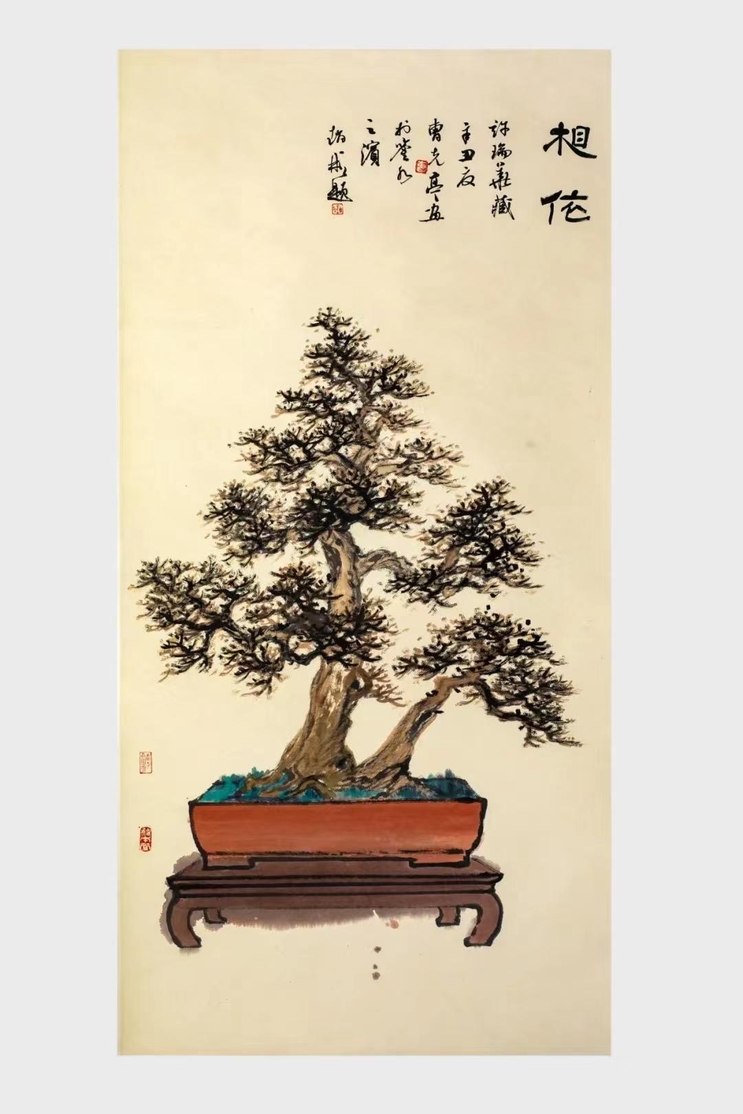 这是什么松树盆景,适合在家养么?