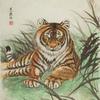 自由虎哥