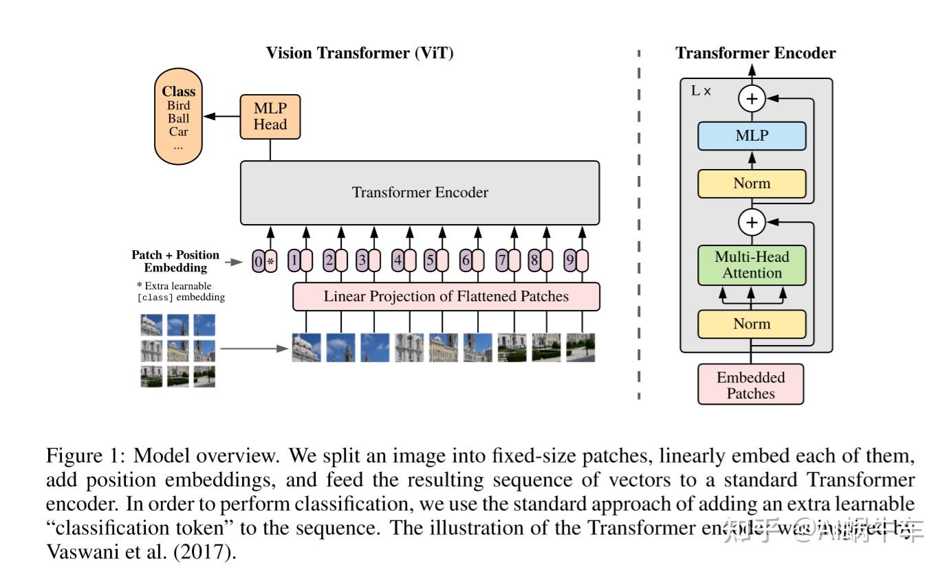 Pytorch Code Vision Transformer Apply Vit Models Pre Trained And Fine ...