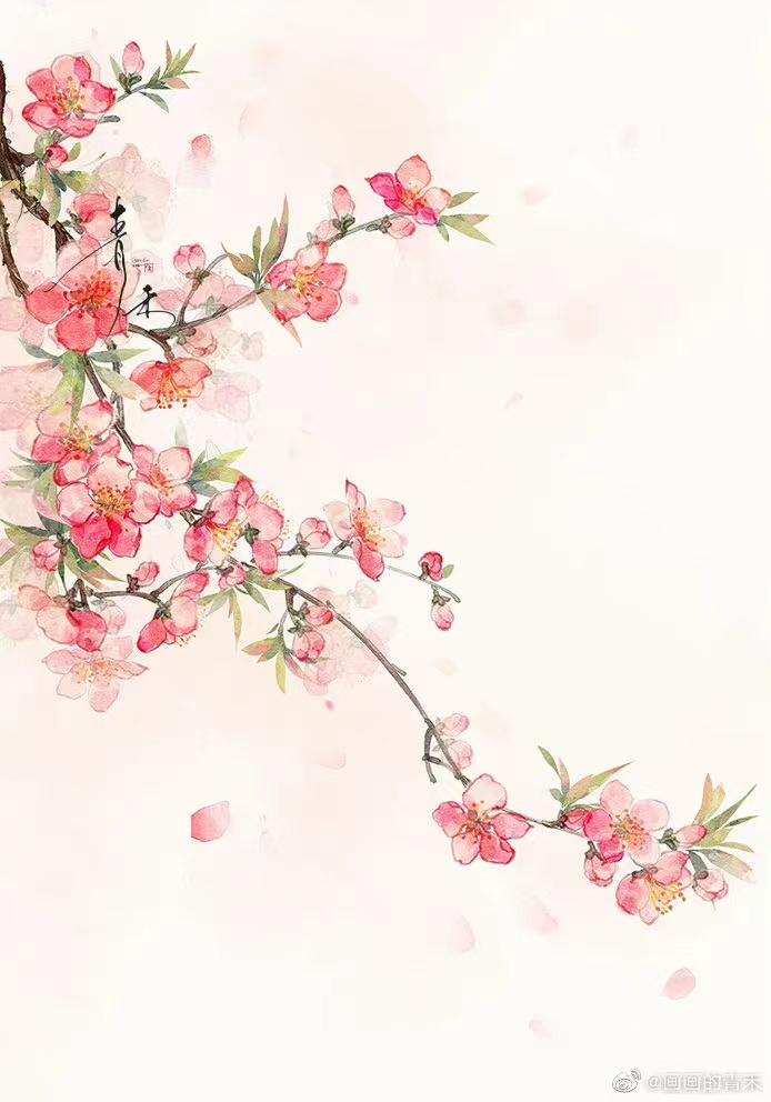 古风插画 | 花卉