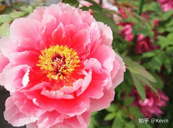 日本的春分居然放假 知乎