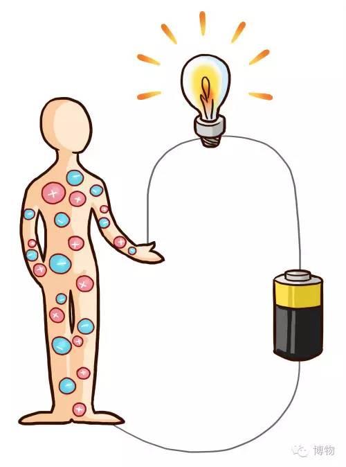 你的身体能导电 全靠体内电解质别看人体有着坚实的骨骼,紧绷的皮肤