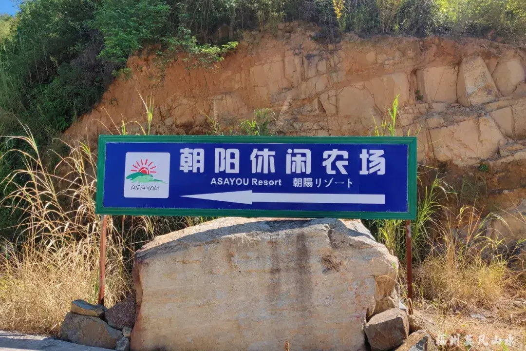 在闽江边篝火烧烤住木屋福州闽侯白沙朝阳农场初体验