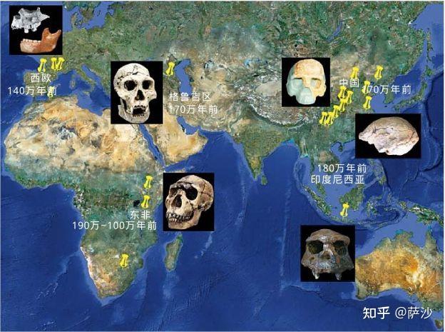 中国人的祖先究竟是不是北京人?1929年12月2日北京猿人被发现 - 知乎