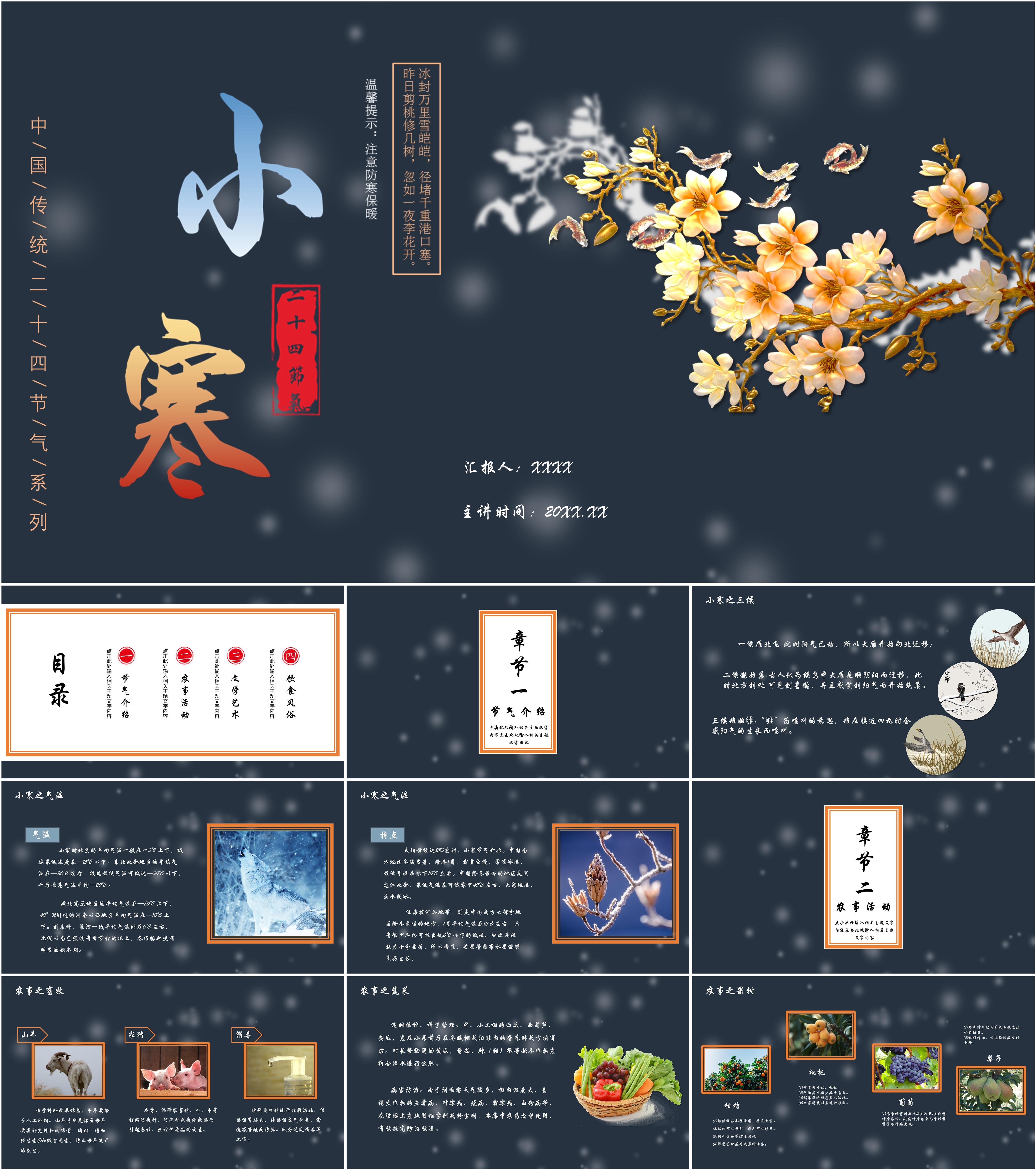 最新13套高质量2024小寒节气ppt课件