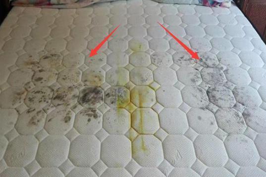 不用暴晒,不用开水烫,教你一简单方法,将床上细菌螨虫全扫光.