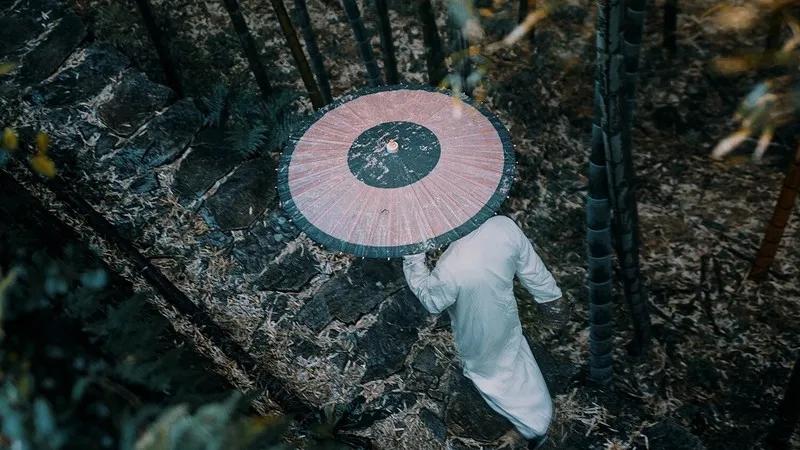 听雨 - 知乎