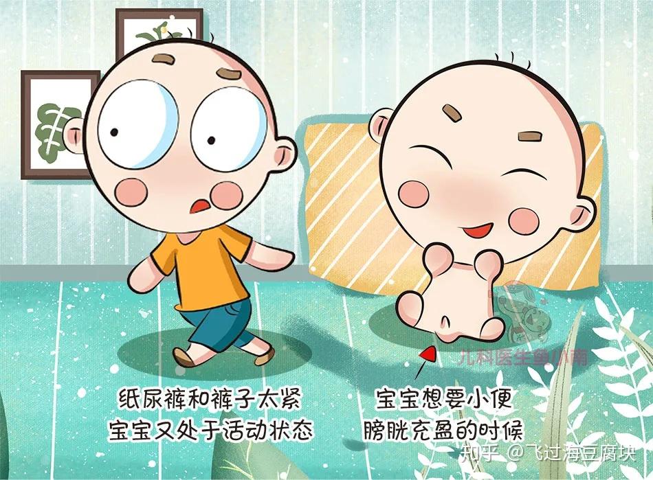 宝宝的小丁丁又硬了别慌这些羞答答的知识一次性讲清楚