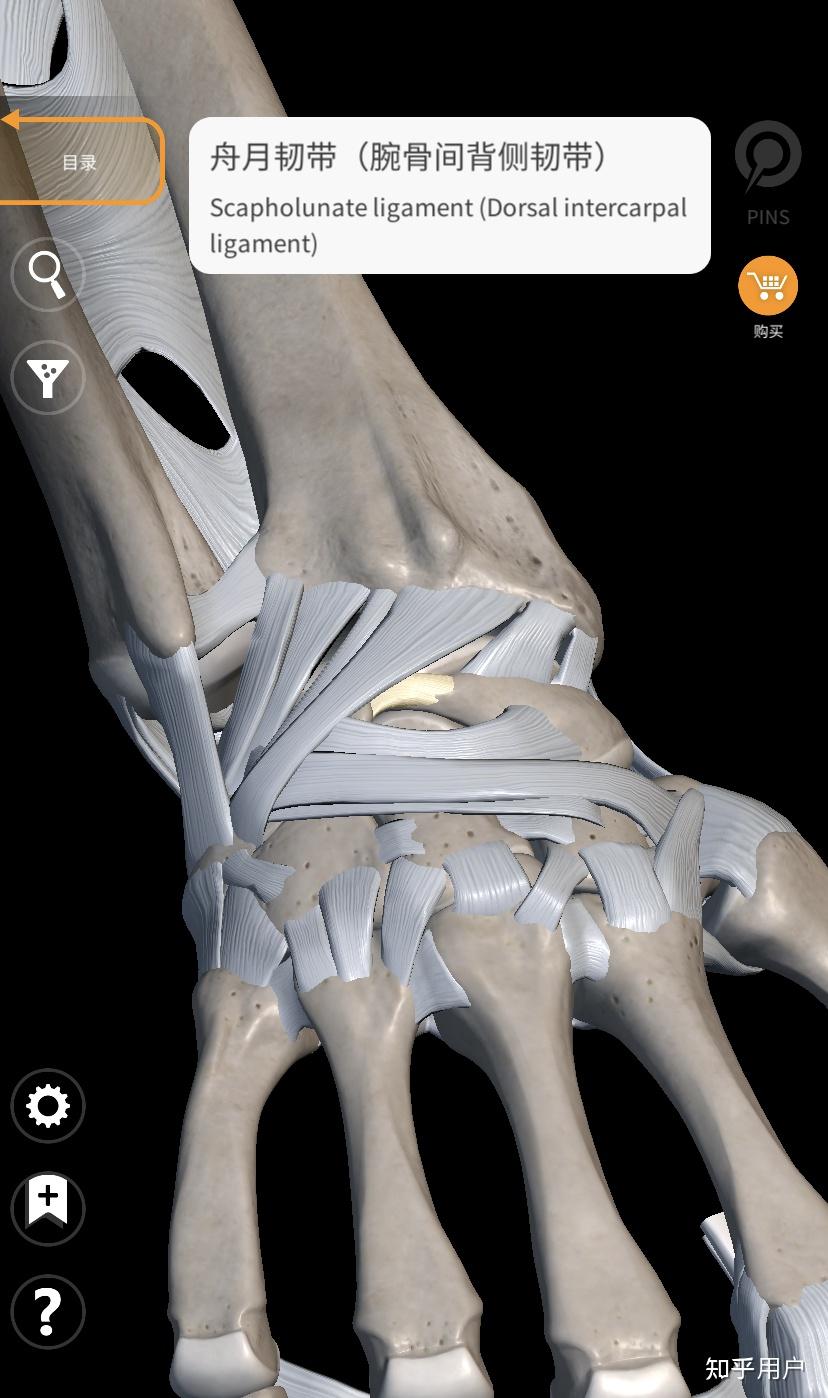 三角纤维软骨tfcc损伤该如何治疗和康复呢