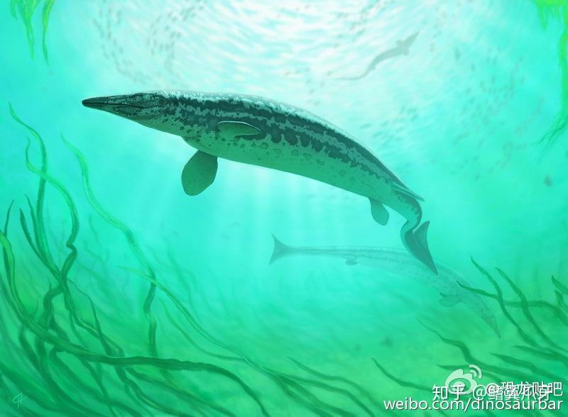 【远古の鳍】建议改成:海的逆子(下) - 知乎