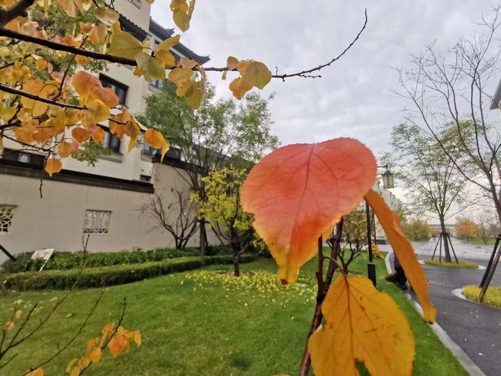 保定楼市：盘点保定市主城区比较受关注的在售楼盘 - 知乎