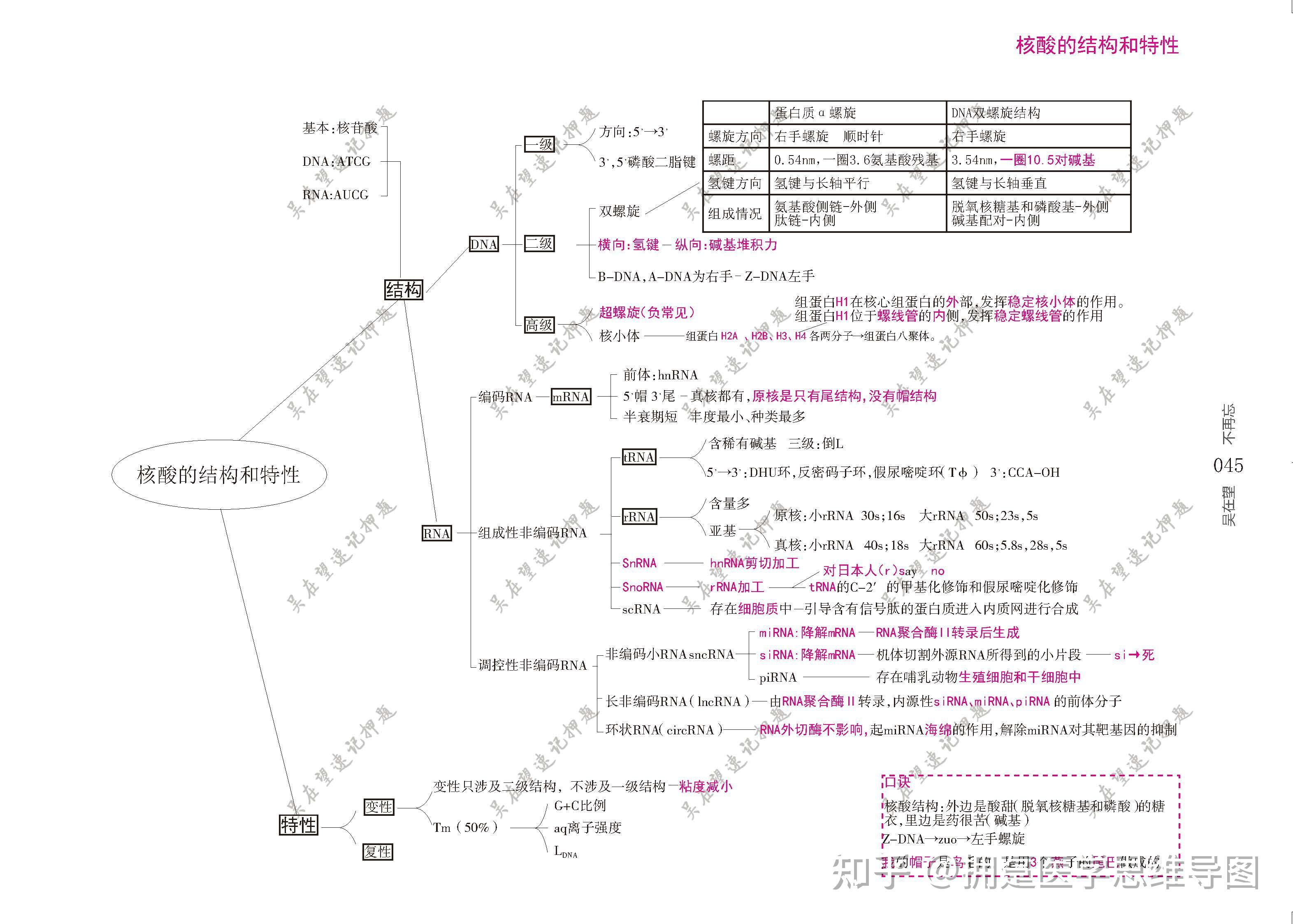 大二复习生物化学要从哪里入手? - 知乎