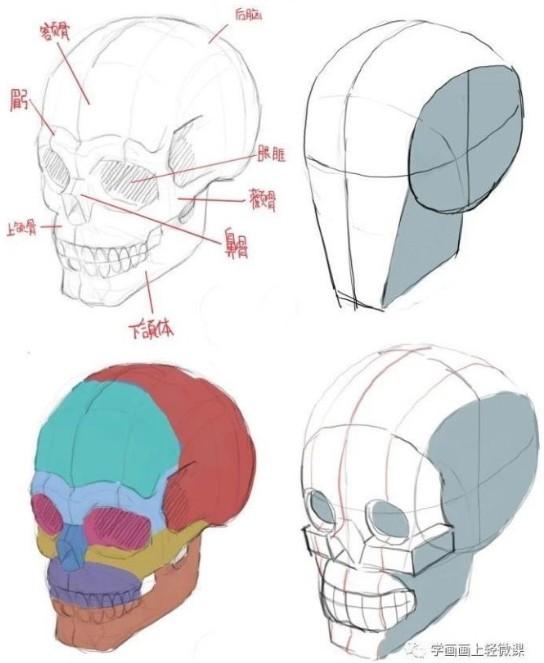 绘画头像侧脸该怎么画 知乎