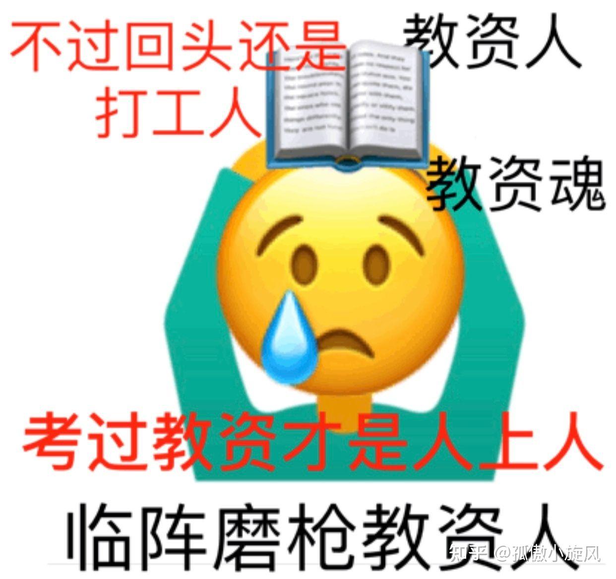 教资科目二《教育知识与能力》重点把握