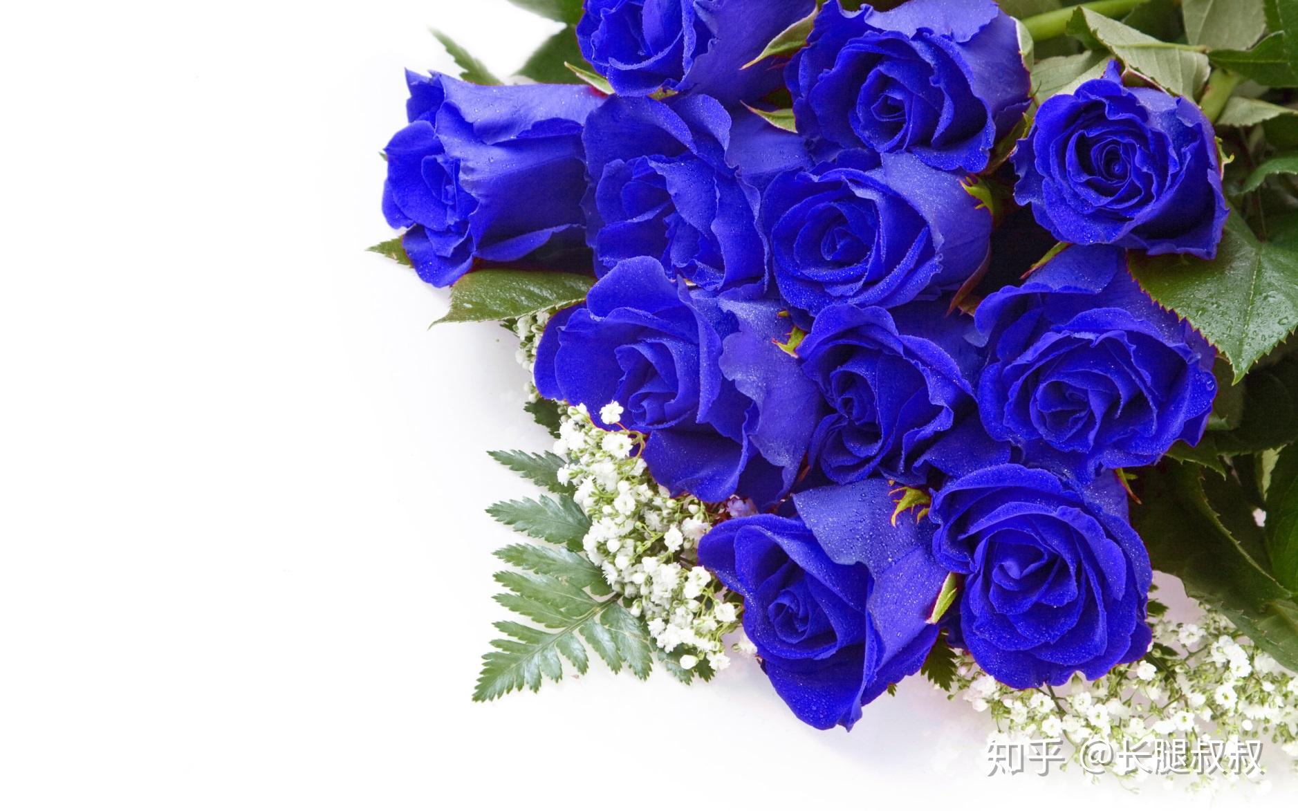 大家可以试着调一下原谅色玫瑰哦~!怎么样?你学会了嘛?