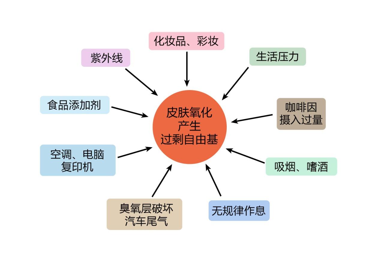 负氧离子可以补充自由基所需要的电子使自由基转变成水排出体外