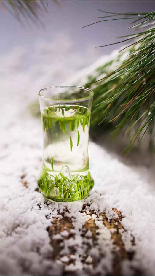 竹叶青茶夏日里的独特清凉