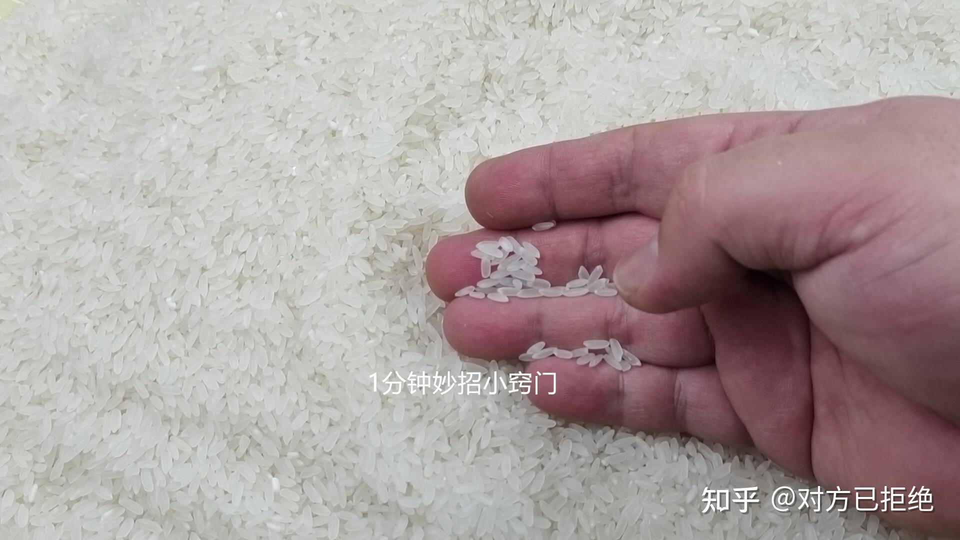 家里大米生虫怎么除掉 去除大米生虫的方法与技巧