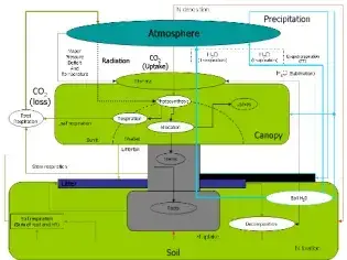 Bgc Coverage Biome-BGC模型应用 - 知乎
