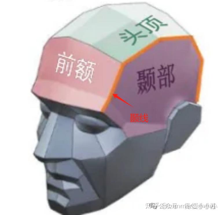 “颞部审美”是颜值新焦虑还是美人门槛? - 知乎