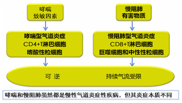 慢性阻塞性肺疾病慢性支氣管炎肺氣腫支氣管哮喘的區別與治療