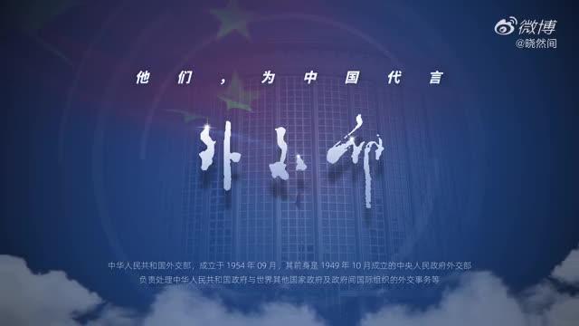 圈粉无数的中国霸气外交天团