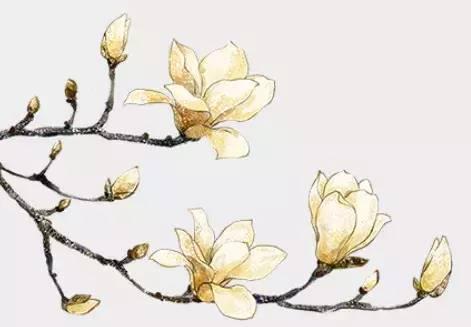 长衢文化复兴百日有感