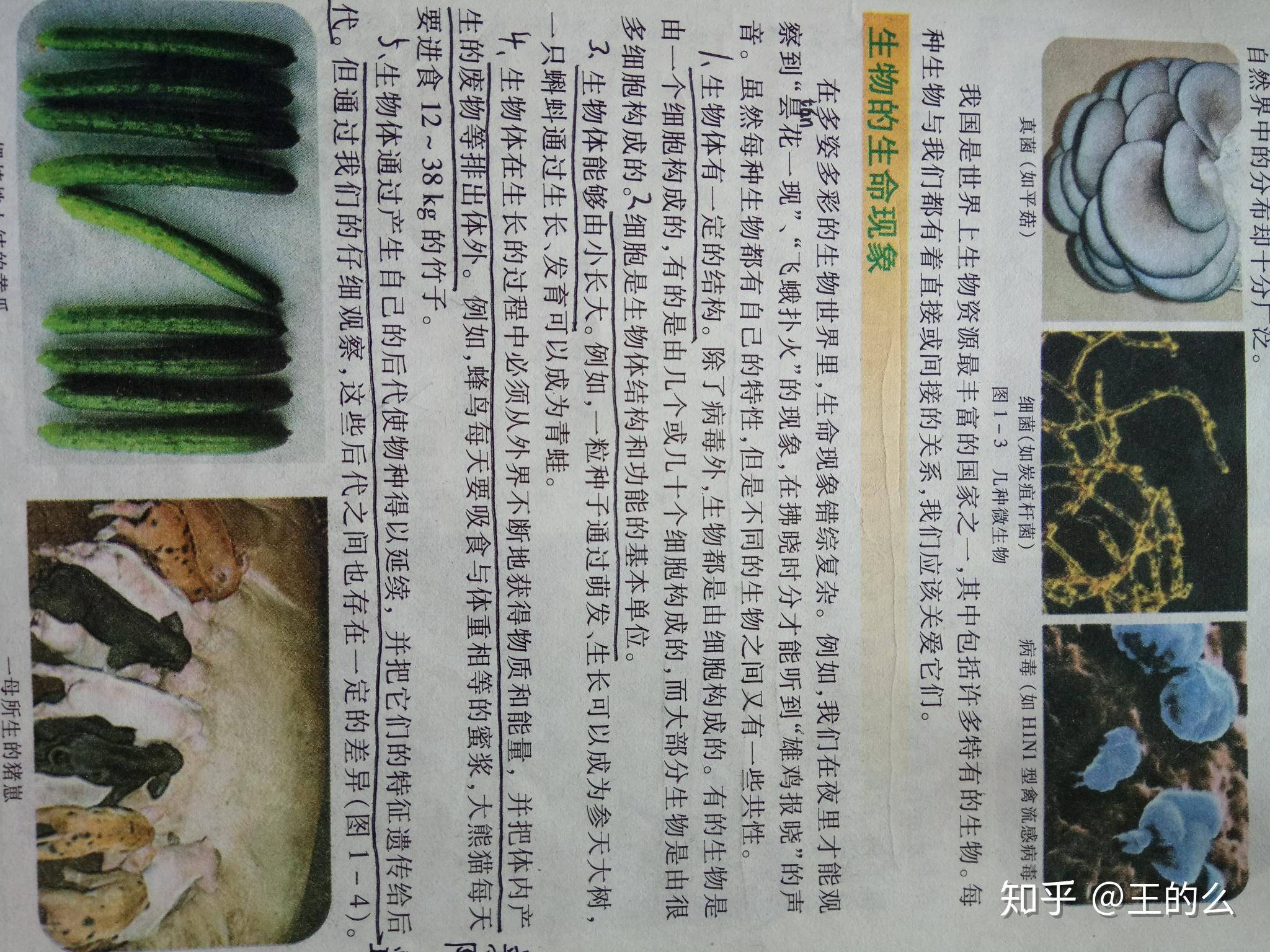 生命体与非生命体的界线是什么？ - 知乎