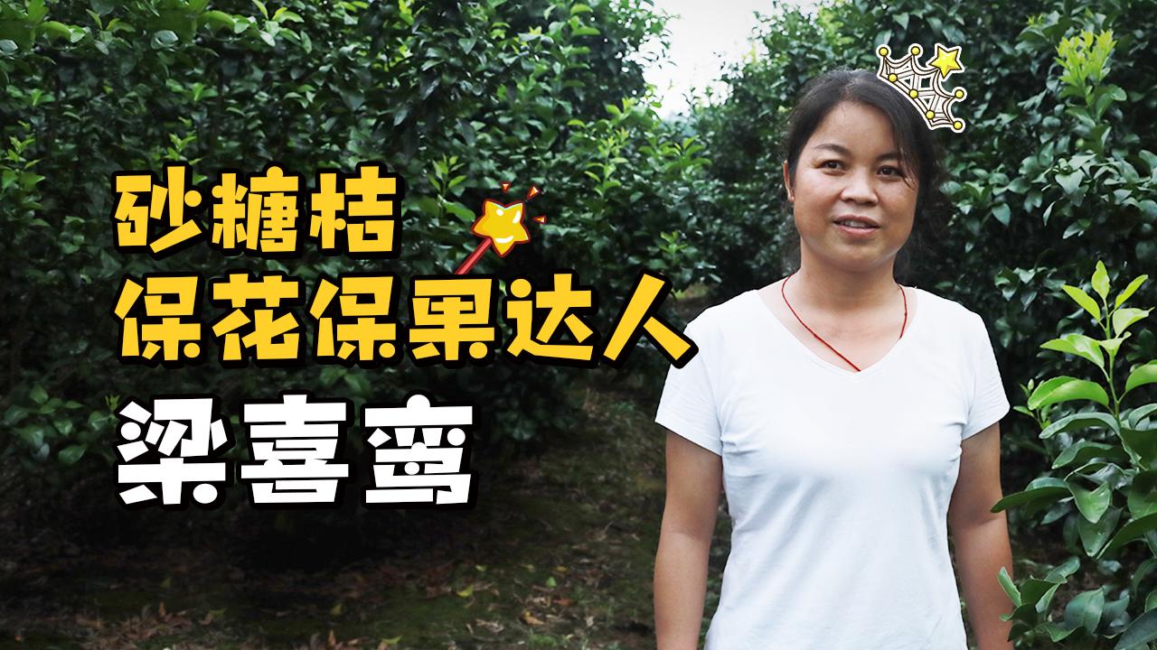 美女种植户教你几招 砂糖桔保花保果不用愁 知乎