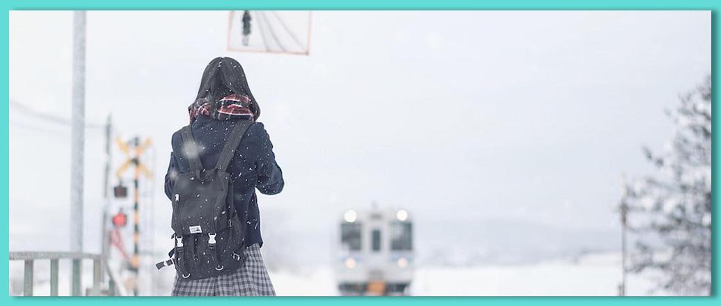 北海道下雪了 初雪 北海道旅游线路 知乎