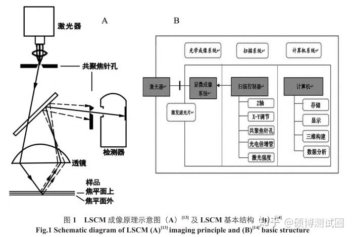 【文献解析】一文读懂激光共聚焦显微镜的应用（二） - 知乎