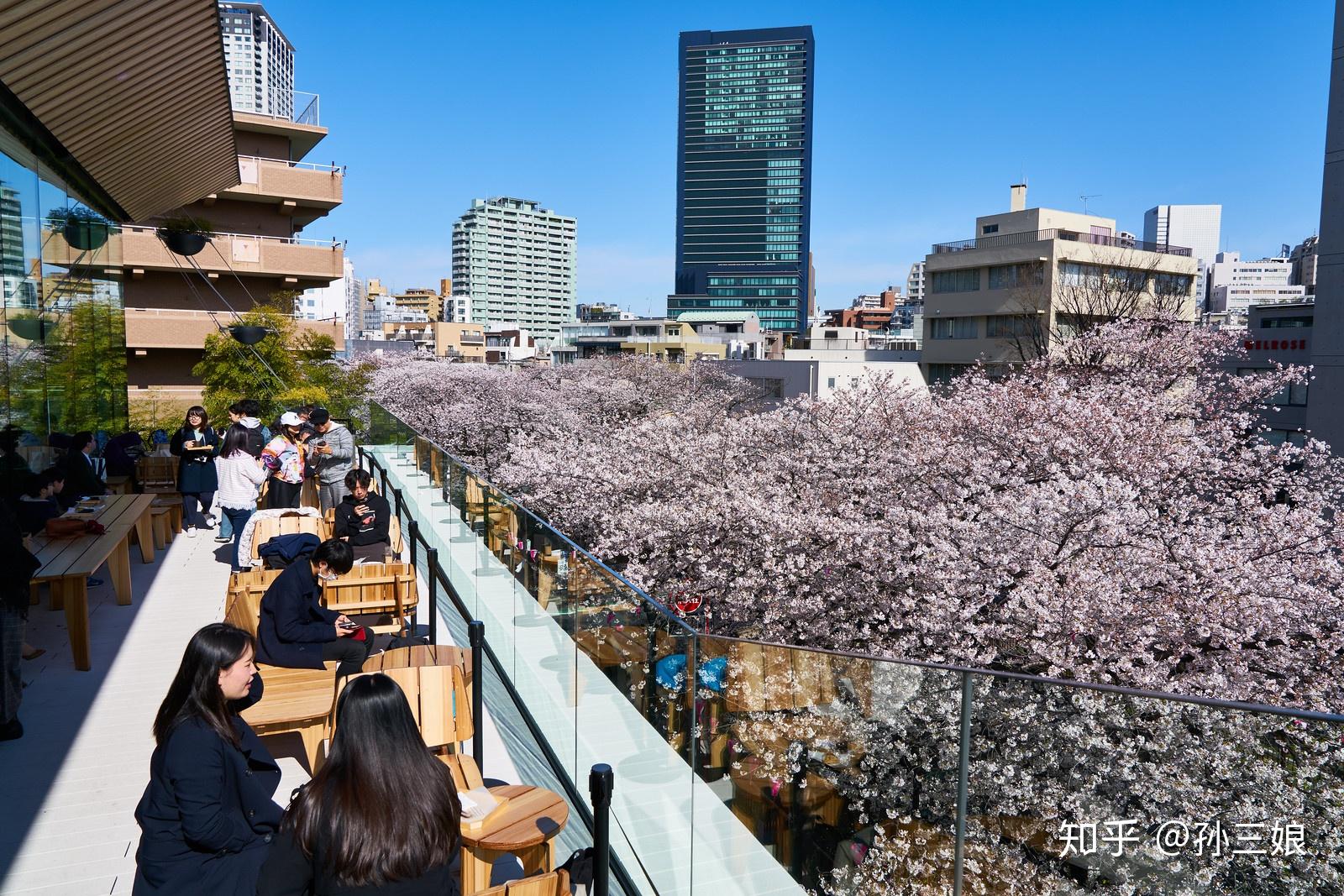 目黑区内国家指定的文化财产有 5 件,东京都制定文化财产是 16 件,目