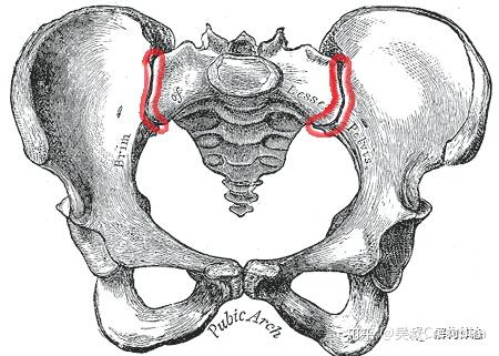 1. 骶髂关节功能紊乱简介