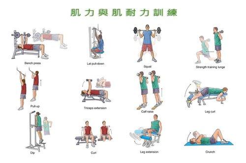 运动康复中,不可忽略的耐力训练! - 知乎