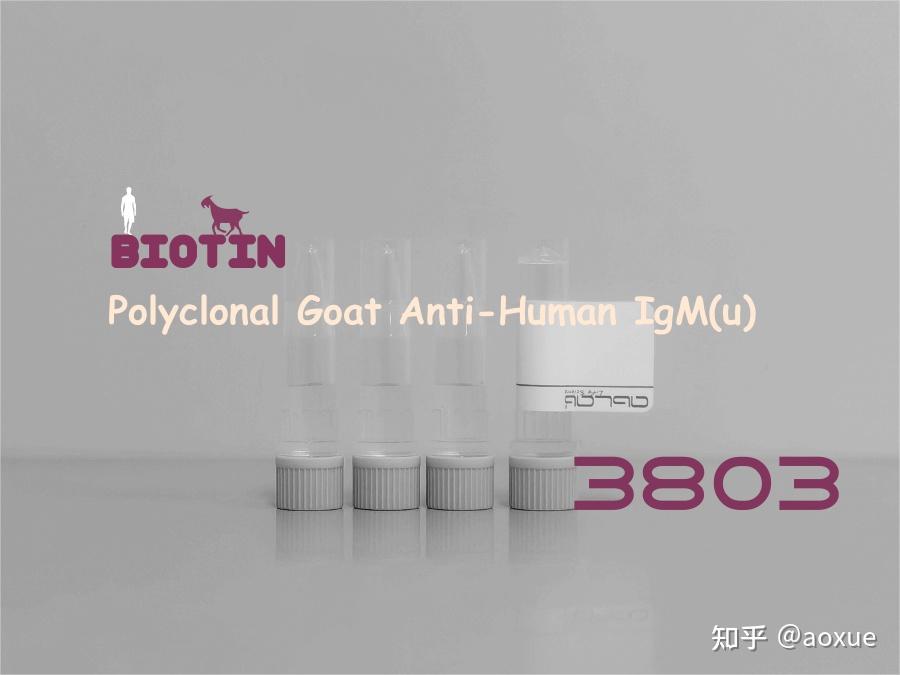 Goat Anti-Human IgG (γ-chain specific) Antibody-Biotin main image 1